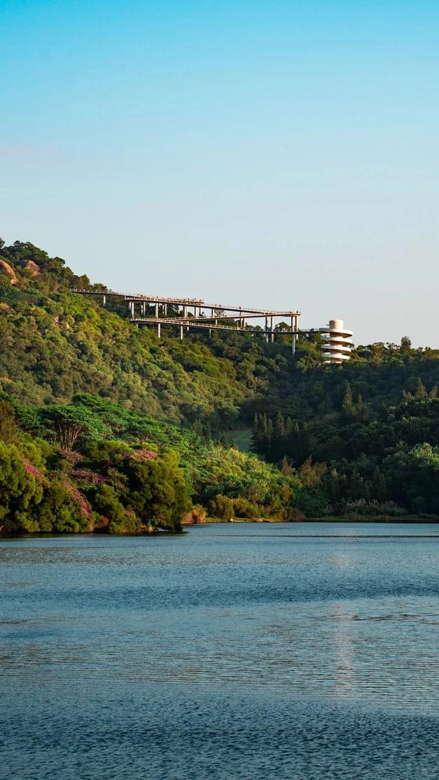 厦门的冬天给北方朋友一点小小震撼~