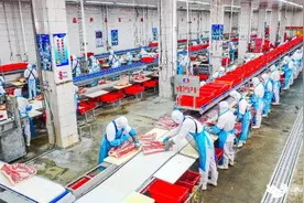 东西湖这家企业订单暴增45%，背后的秘密是——图片