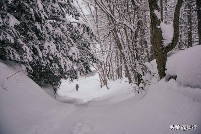 说起冬季日本看雪，难道只有北海道吗？