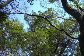 今年宁波的一类重高录取分数可能破640？图片