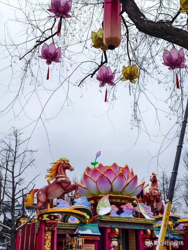 大寒雪落秦淮畔 四秩灯会映金陵 古建银装裹红韵入画来