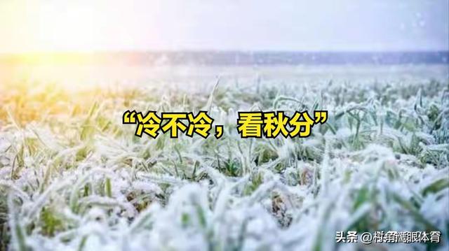 凌晨2点19分秋分！老话说“十个牛栏九个空”，今年冬天冷到哭？
