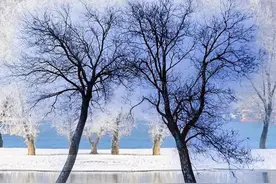 行到水穷处，坐看云起时。18句人间清醒诗词：背下来，终身受益图片