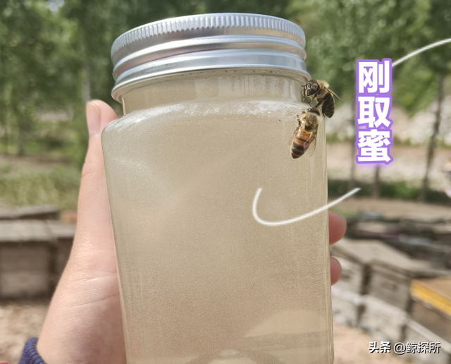 几乎全是假货！利润高达2400%，为何消费者还前赴后继争相购买？