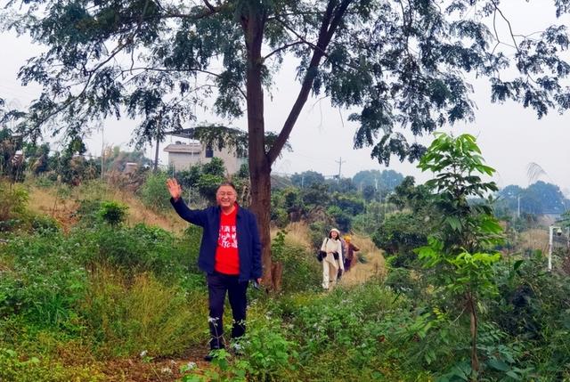 影沉枝聆万籁 蛙声遁迹问天和一一长江岸边泸州马道子村考察行