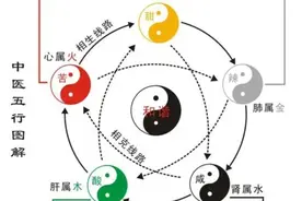 中医五脏六腑生理功能（二肝、肾）图片