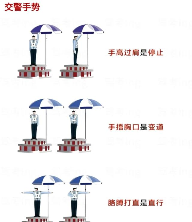 学车考驾照必看科目一通过常考知识点，掌握这十张图，科一轻松过