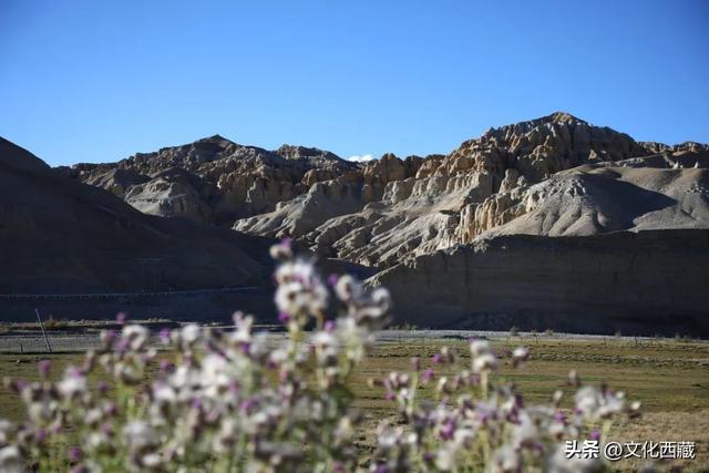 你或许去过阿里这处宝藏地，却未必知道它值得挖掘的还有→