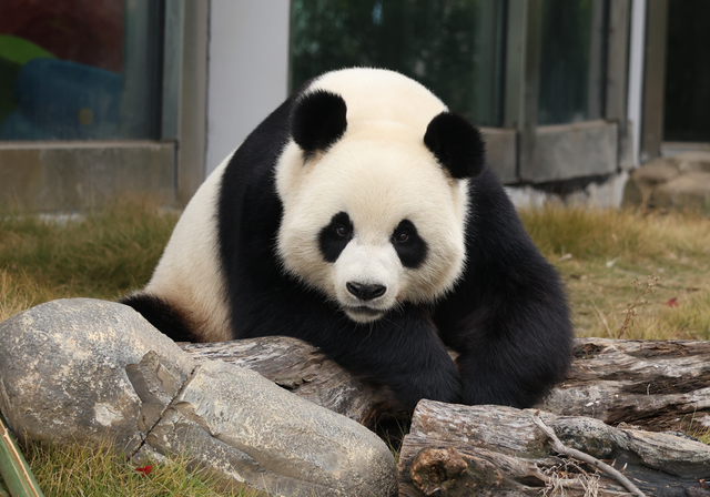 元旦旅行封神，赴一场江湖之约 | 岳阳元旦商家优惠大礼包来啦！