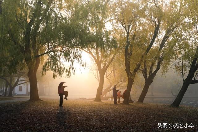 突然发现，不止是年轻人，老年人也要多出去旅游才行