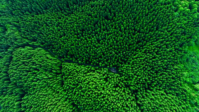 没拍过这15个地方，怎么能算到过成都？地铁公交直达，超方便！