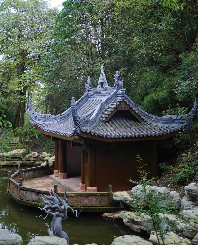 黄了！成都出发1.5h刹拢赏秋秘境，茶海风光无敌，银杏美了上千年！