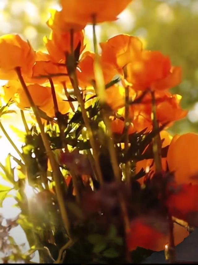 每天都是独一无二的限量版，活出自己的精彩和风景