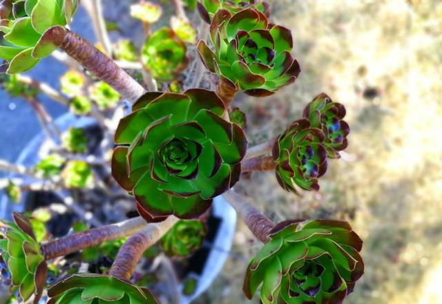 一定要少说话，少说话