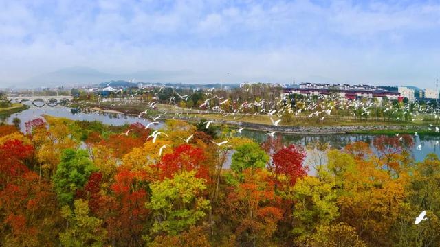 收藏！摄影师私藏的山河秋色，藏着最浓的诗意 | 皖美秋日