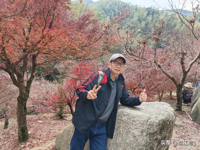 蓝山谷记：与十万株红枫的相遇