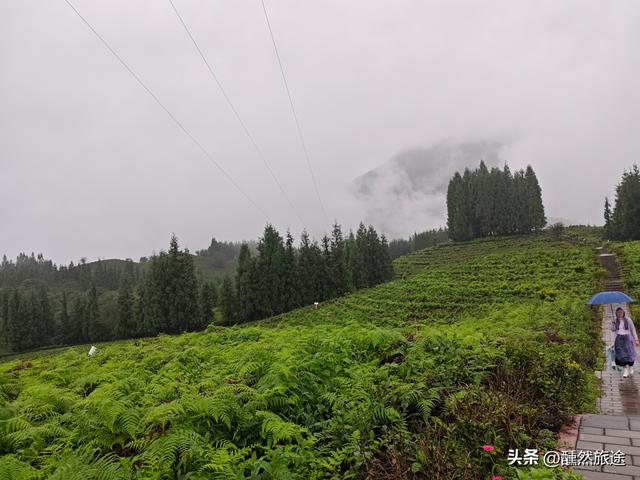 成都周边二日游（1）：雅女湖畔的隐世时光