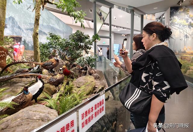 乘襄荆高铁 游荆襄古道！襄阳500人高铁首发团畅游荆门