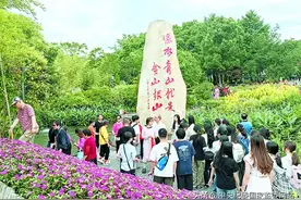 深度关注丨看，绿水青山变成了老百姓幸福靠山图片