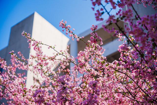 山西大反转！晋中杀出重围，太原大同都没想到，焦点为啥是它