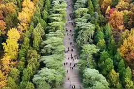 江苏南京十大旅游景点攻略图片