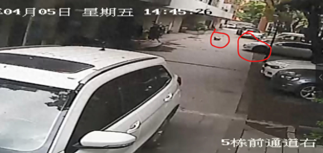 成都特斯拉碾压女童案二审维持原判！车主被判10个月，含泪发声：维权之路还很长