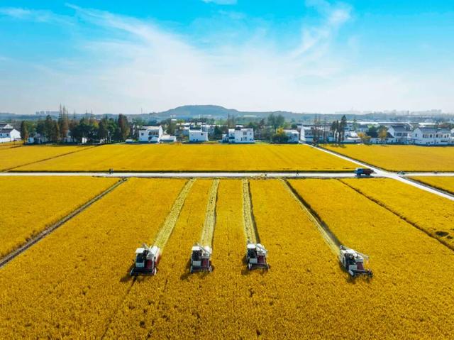 宜兴乡村之美，美在哪儿？