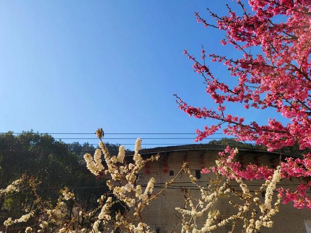 土楼拾光①:福建土楼景区——田螺坑片区（2025.2.9 漳州·南靖）