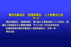 黄岛区（西海岸新区）新增一位副区长图片