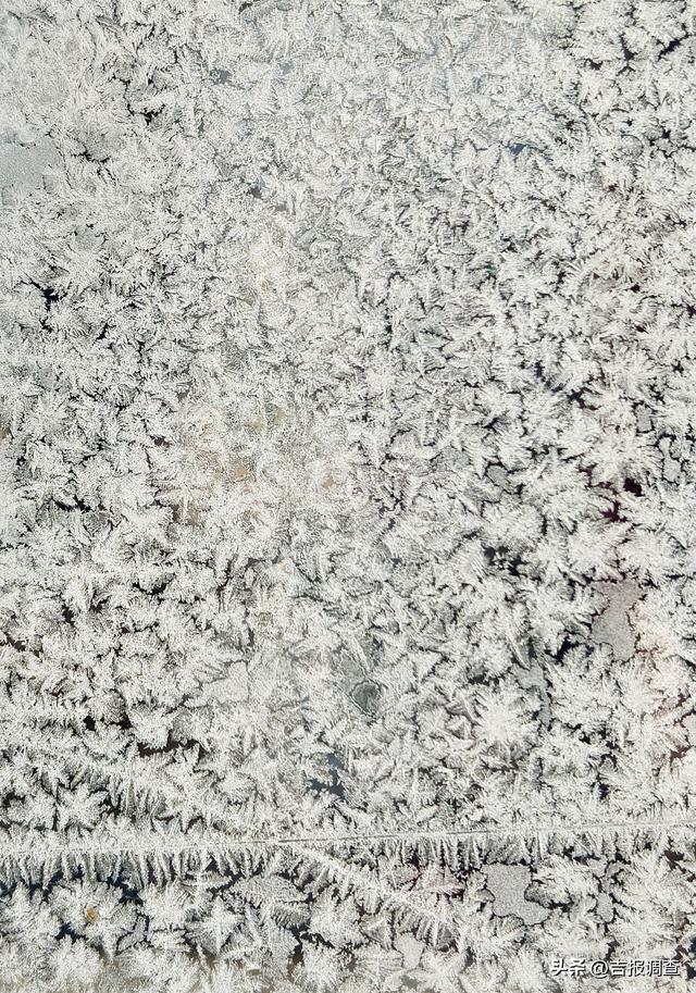 天寒地冻的东北，藏着最美的冰窗花！