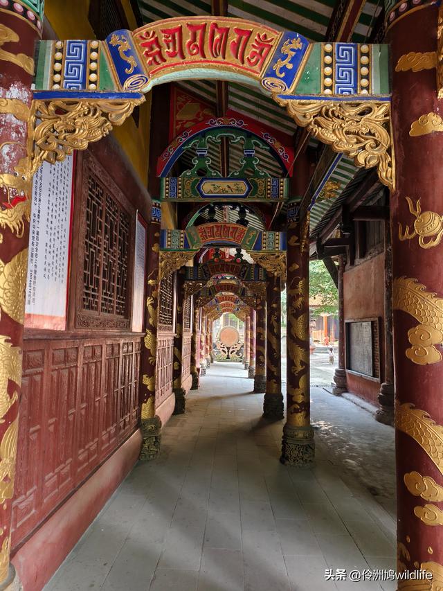 四川行(75)广汉②金雁湖公园·黑塔街·龙居寺