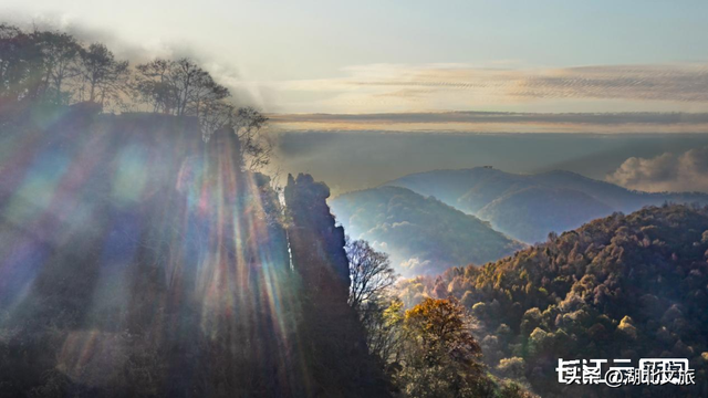 评分秋色：随州为啥被称为“杏”运城市？