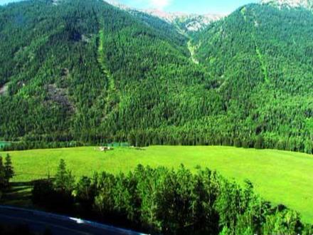 新疆旅游：喀纳斯梦幻之旅全景大扫描（图）