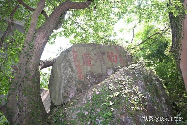 “健身”新地标！六平山的登山热持续升温中……