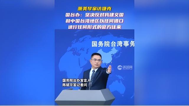 中方作出决定,不再同捷克总统交往,话音刚落,捷克回应"2句话"