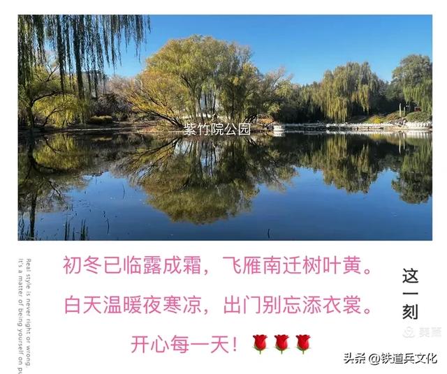 李友珍||岁月倏然·菊韵飘香——紫竹院公园的菊展