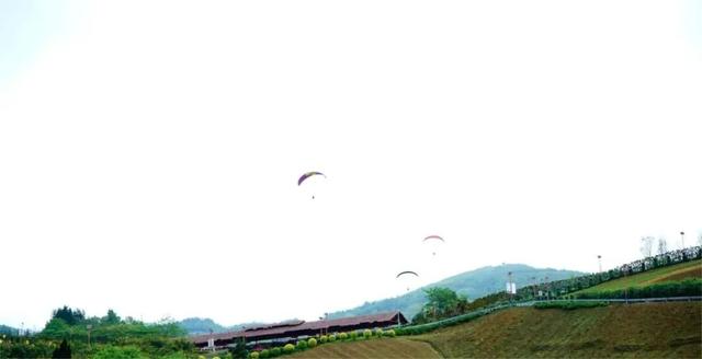 2025→2026，桐梓见！