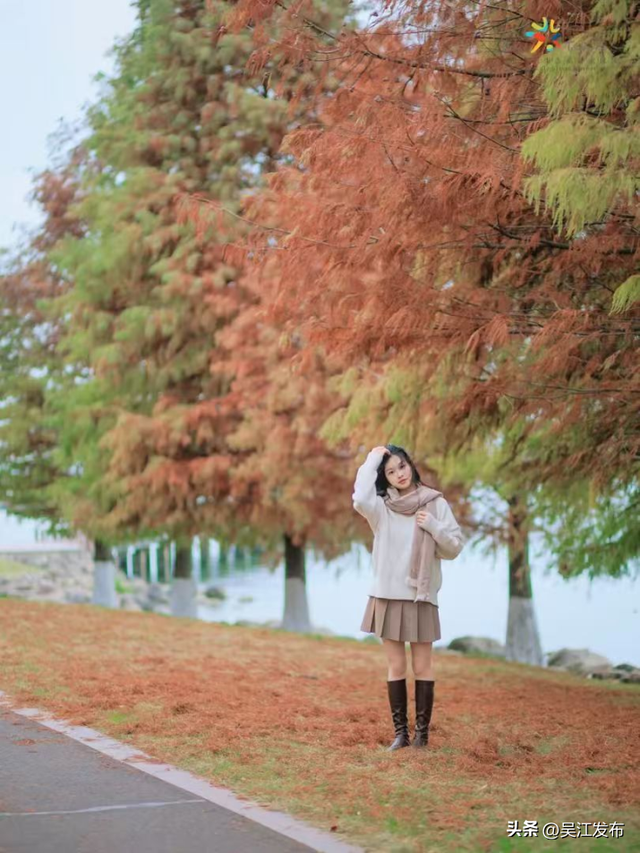 周末去打卡丨太好拍~东太湖绝美机位，“框框”出大片！