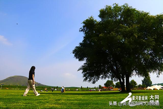 火山脚下成露营新热点 一树一景成文旅新亮点