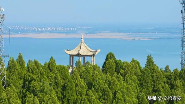 解锁「美拉德」色系！东平的秋天是懂氛围感的，朋友圈晒这些图绝对赢麻！