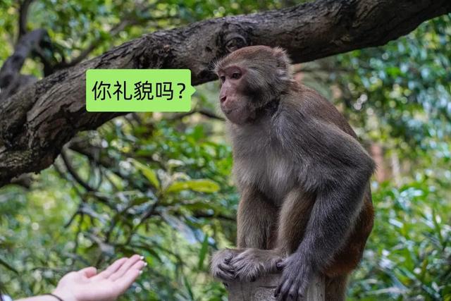 淡季来封神的地方，本地人清空收藏夹的的玩乐清单就看这篇了