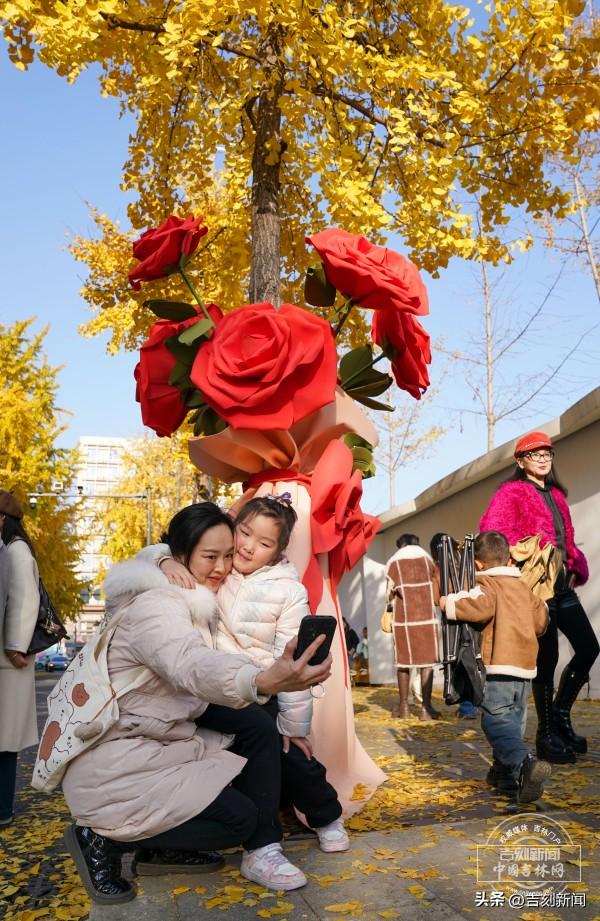 新发路观察｜一叶知心，一叶知城