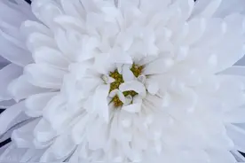 2025年安徽企退职工去世，丧葬抚恤金待遇有变，一次性领多少？图片