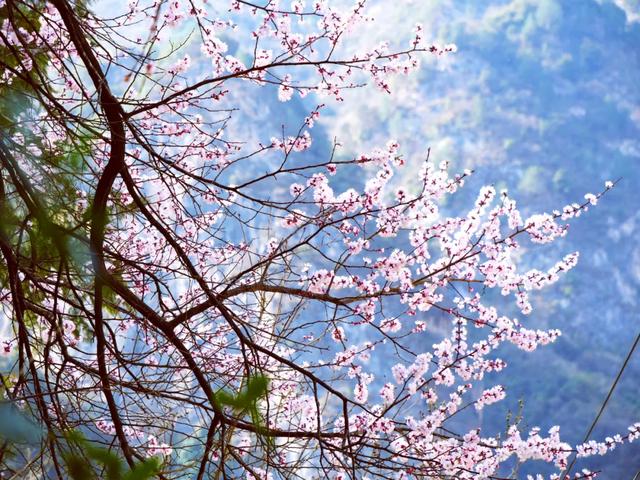 来体验,你没见过的小镇四季!