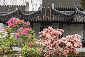 苏州周末好“趣”处→图片