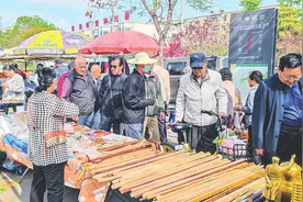 市民赶大集 乡土情怀浓 山西太原北中环街周六大集市吸引市民慕名前往图片