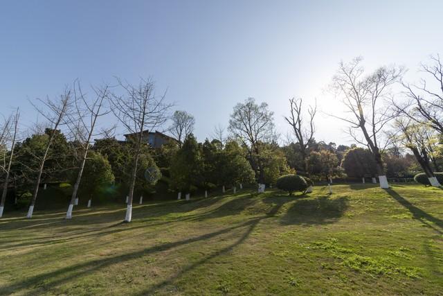 一个人不尊重你时，不要沟通	，不要愤怒，只需记住"海格力斯效应"