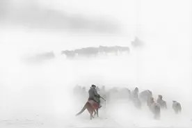 80年新疆“白毛风”诡异事件：有人失踪，有人疯魔，还有带血骨架图片