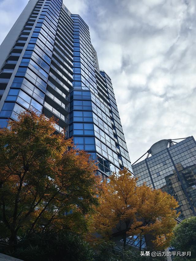 温哥华游记（一）