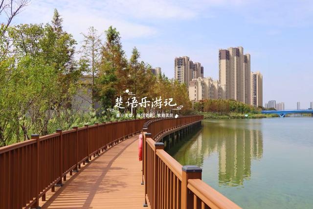 宁波慈溪这处风景被人忽略但很优美，即将迎来绚烂时刻，值得游玩